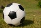 ein fußball auf grünem Rasen